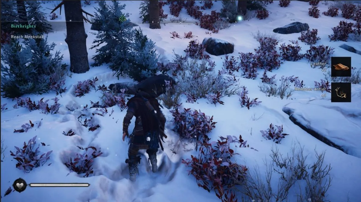 Comment trouver des bois de renne pour une chasse douce dans Assassin's Creed Valhalla