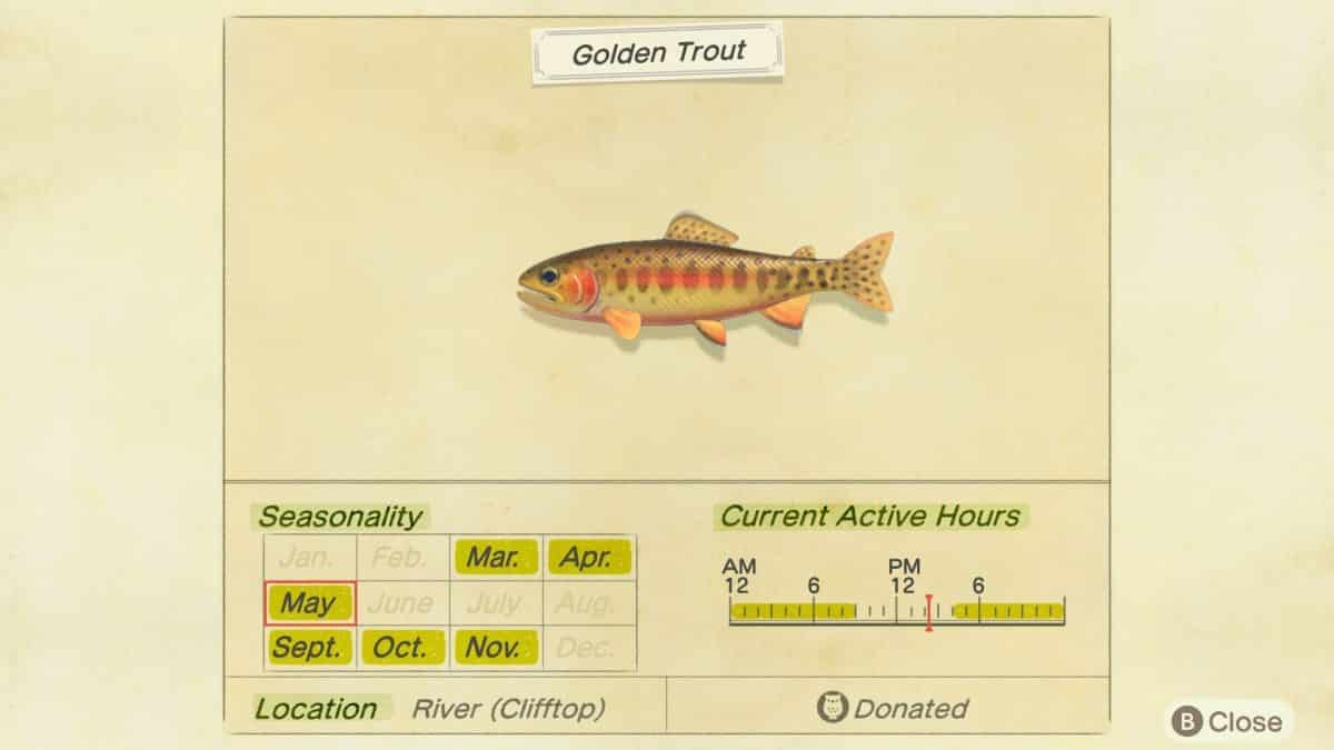 Comment attraper la truite dorée rare dans Animal Crossing New Horizons