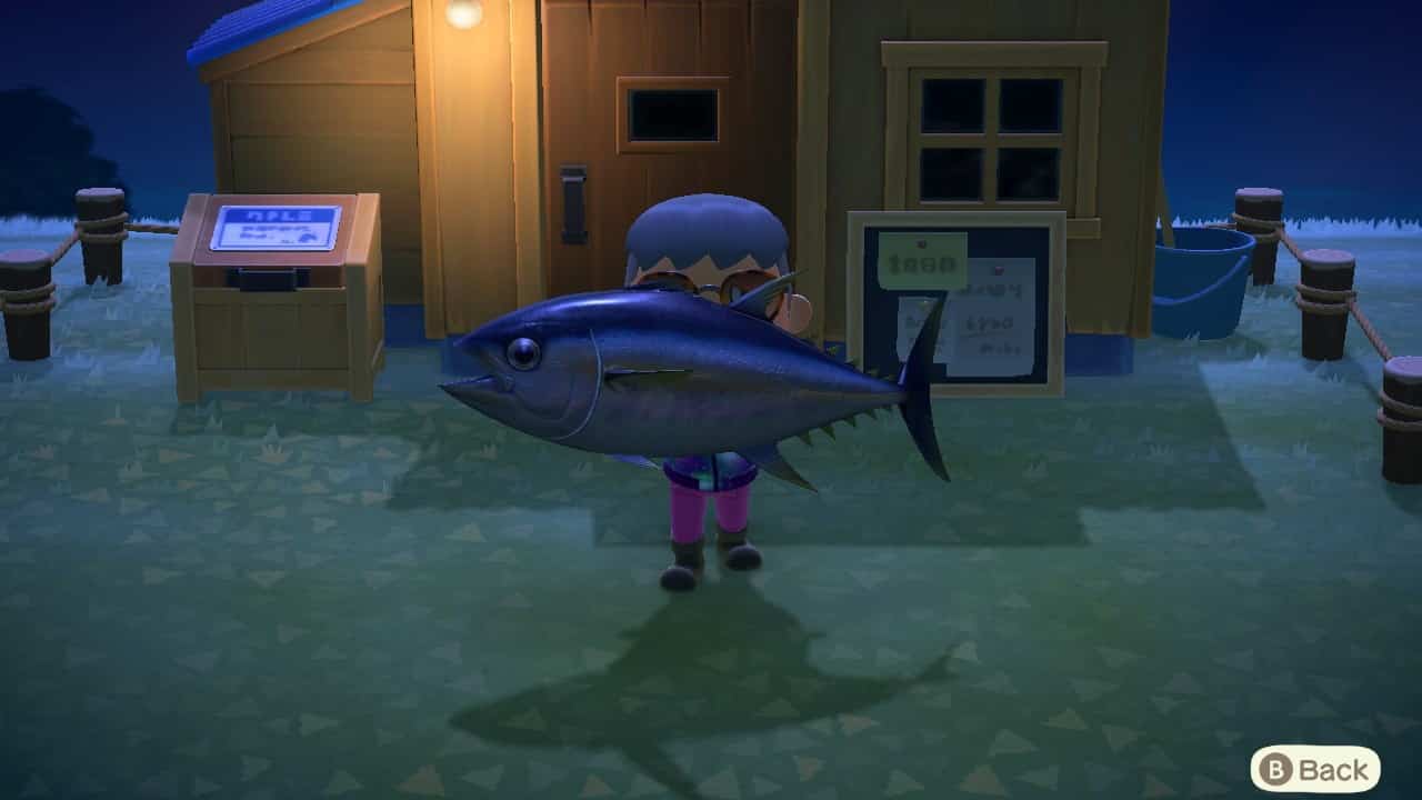 Animal Crossing New Horizons Liste des poissons rares