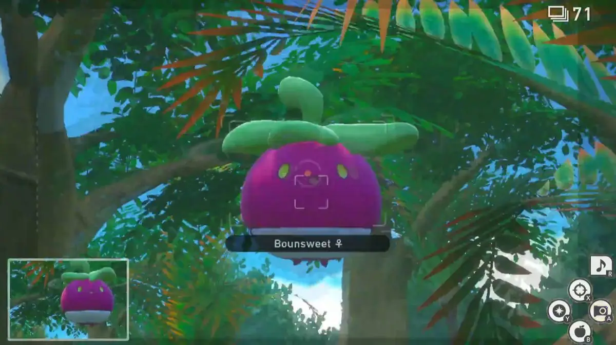 New Pokemon Snap : Guide de demande de Jungle Buddies
