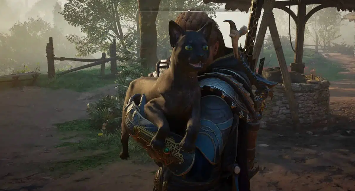 Assassin's Creed Valhalla : Guide des emplacements des chats