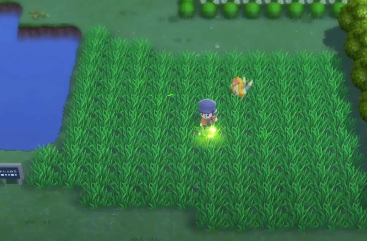 Pokemon BDSP : Guide des rubans