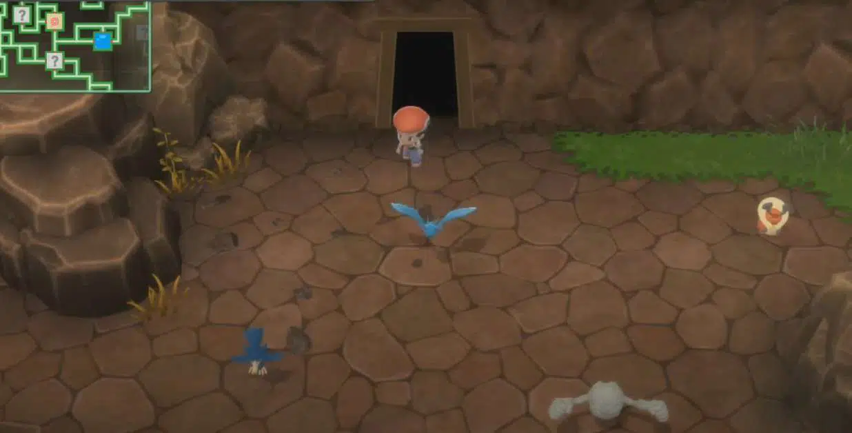 Pokémon DB et PB : Emplacement de Zubat, comment évoluer, type et aptitudes