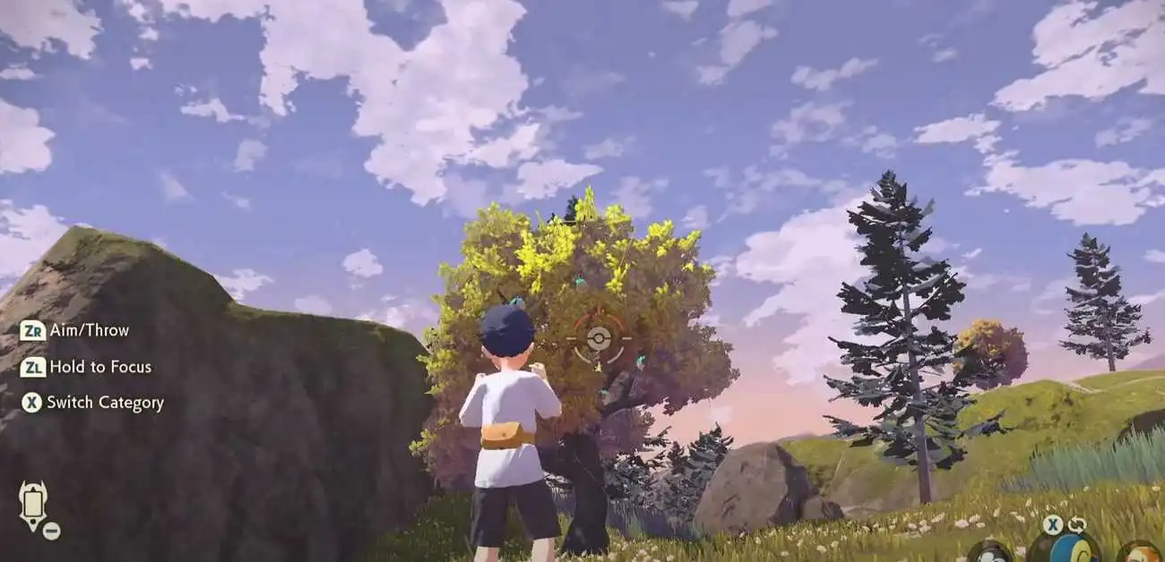 Pokemon Legends : Arceus - Guide des baies