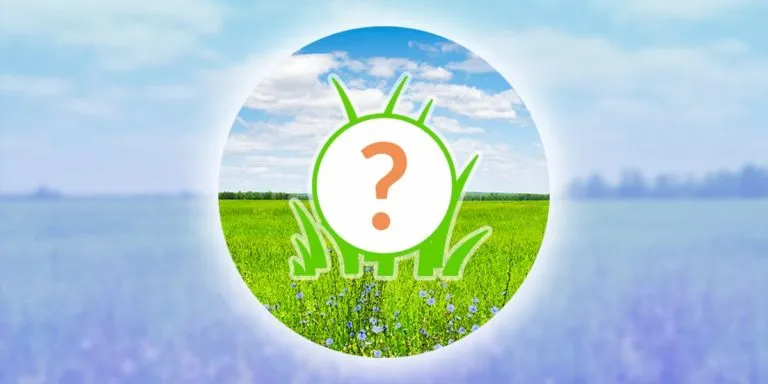 Comment attraper Shaymin dans Pokémon Go