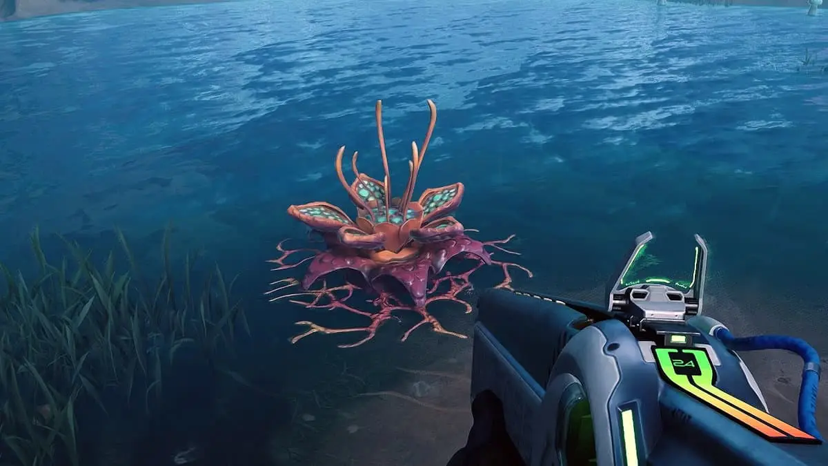 The Cycle : Frontier - Emplacements des filaments d'algues
