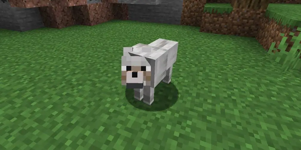 Minecraft : Comment élever des loups
