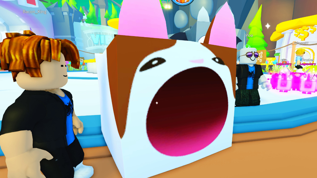 Qu'est-ce que le RAP dans Pet Simulator X ?