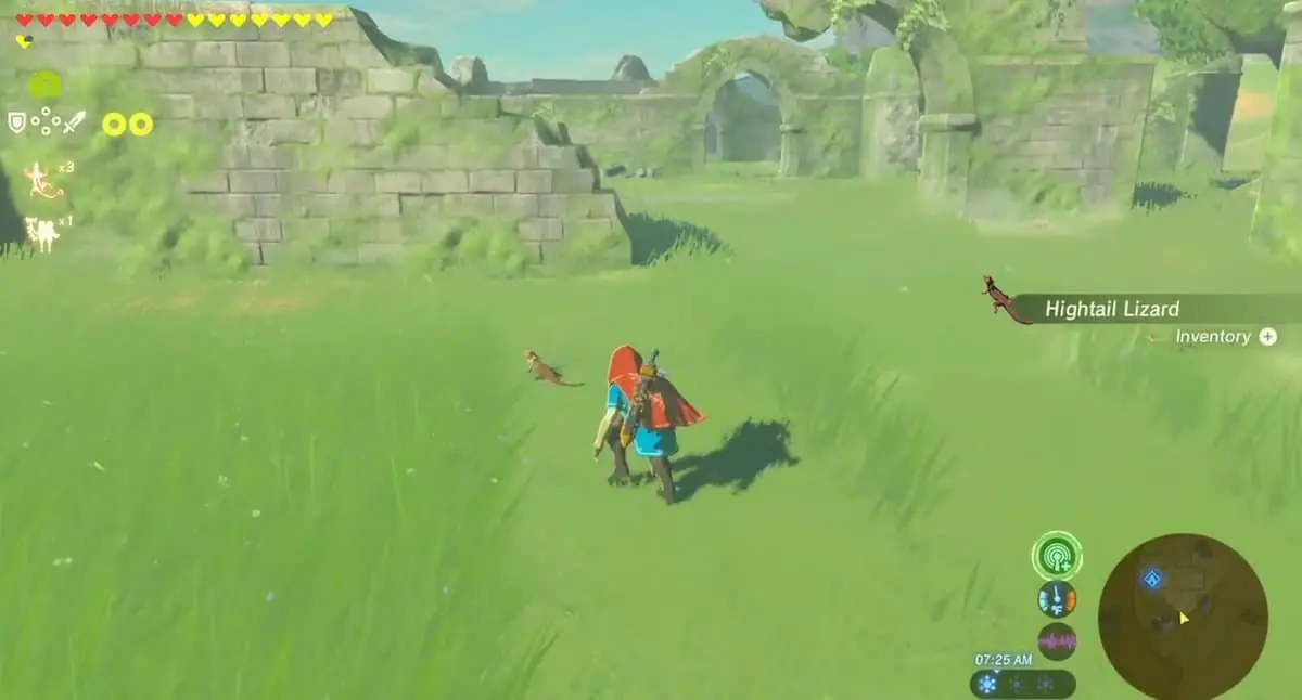 Farmer les lézards à queue haute - Zelda : Breath Of The Wild