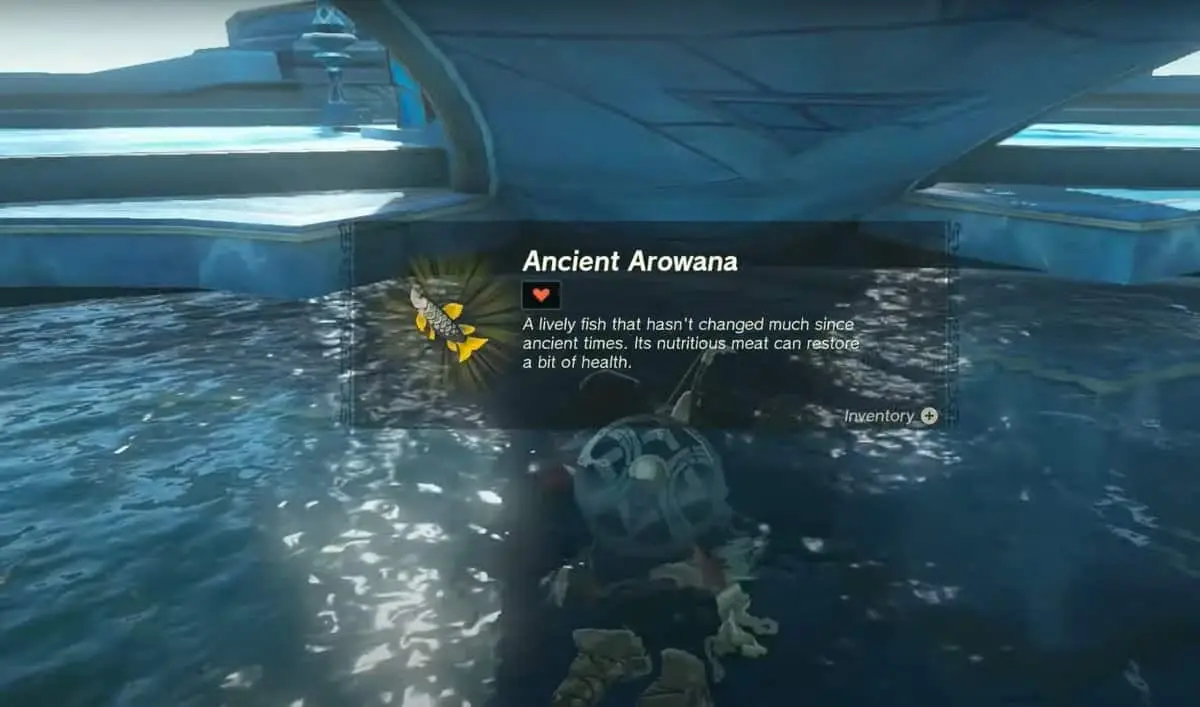 Zelda : TotK - Emplacement de l'Arowana ancien
