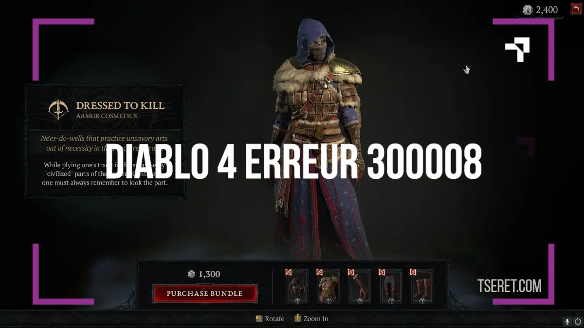 diablo 4 erreur 300008