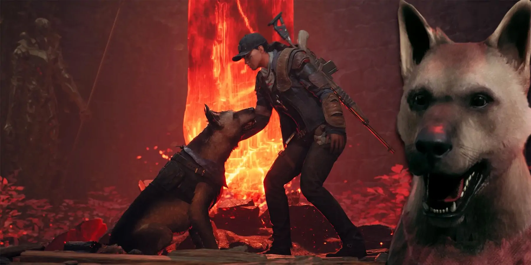 Remnant 2 : Pouvez-vous caresser le chien ?