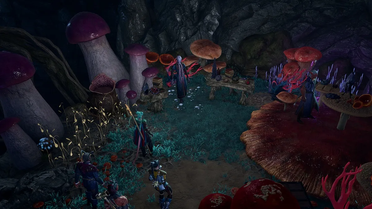 Baldur’s Gate 3 : Faut-il faire confiance à Omeluum ?