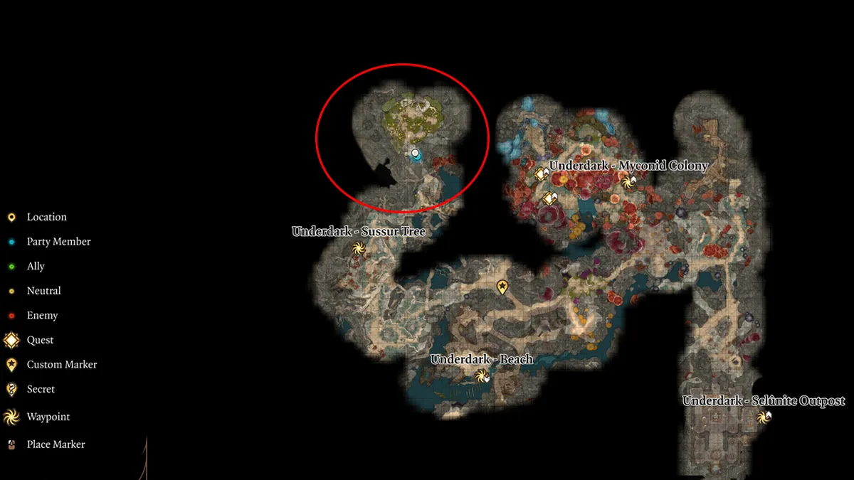 Baldur’s Gate 3 : Comment obtenir le champignon Noblestalk ?