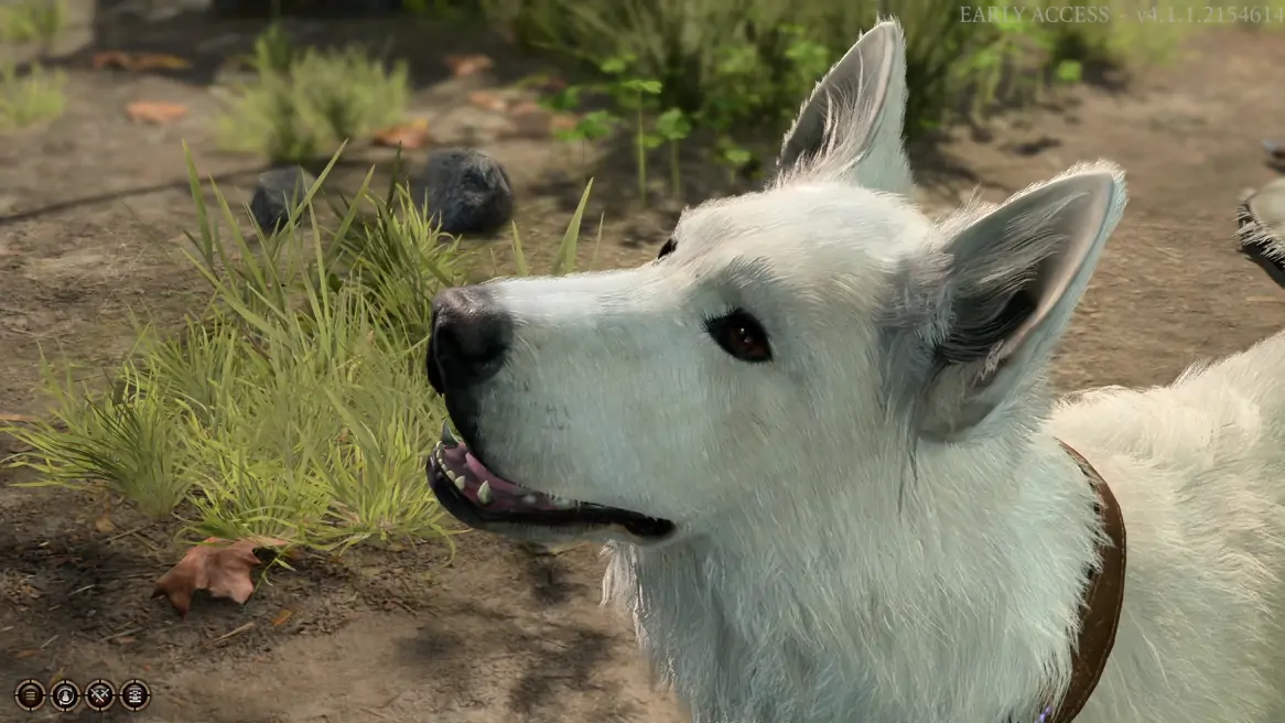 Baldur's Gate 3: Comment obtenir un chien de compagnie