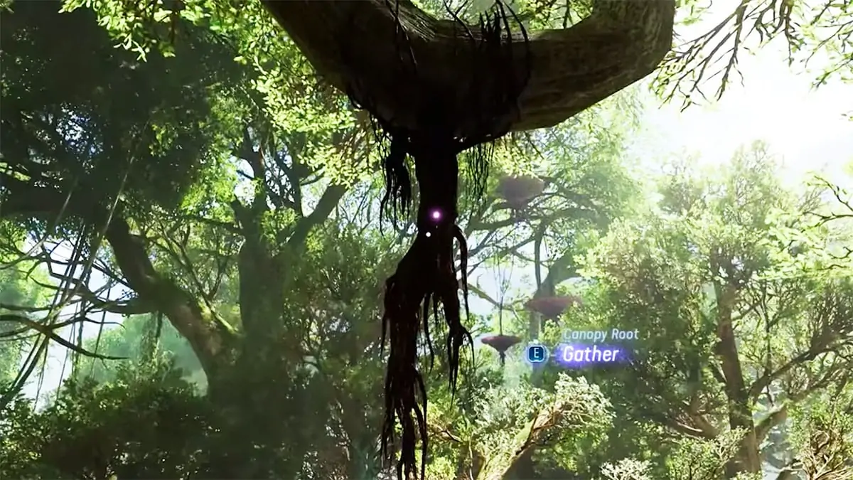 Avatar : Frontiers of Pandora - Où trouver la racine de la canopée