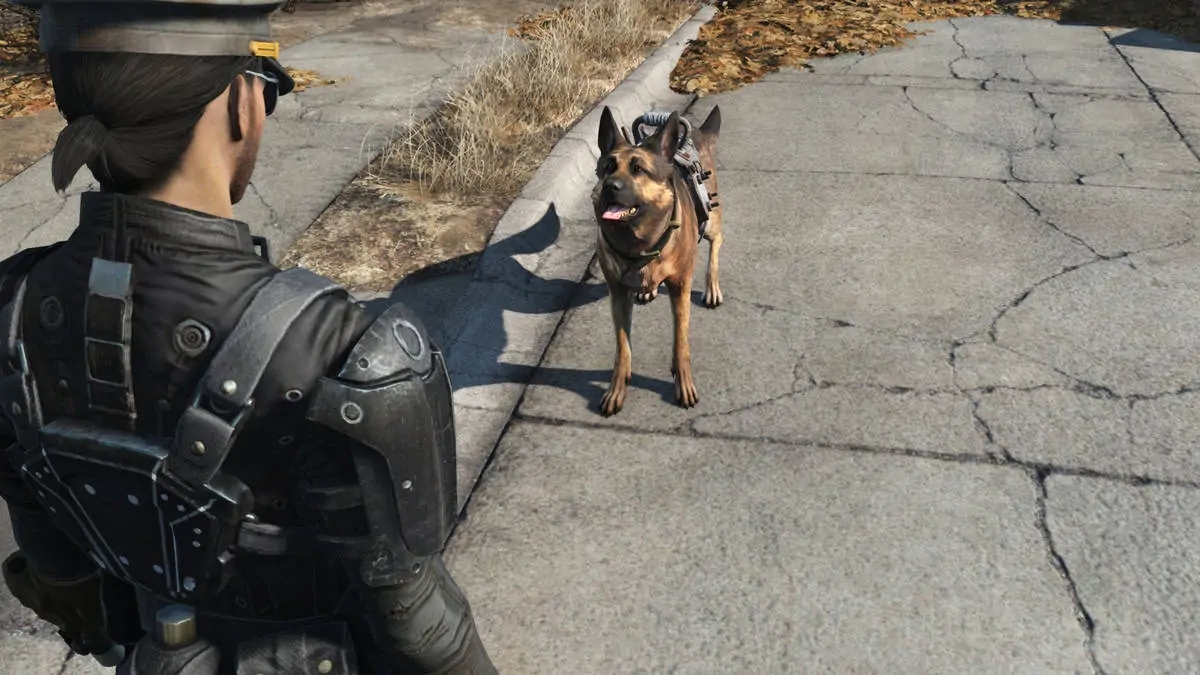 Fallout 4 : 5 meilleures façons farmer de la viande de chien