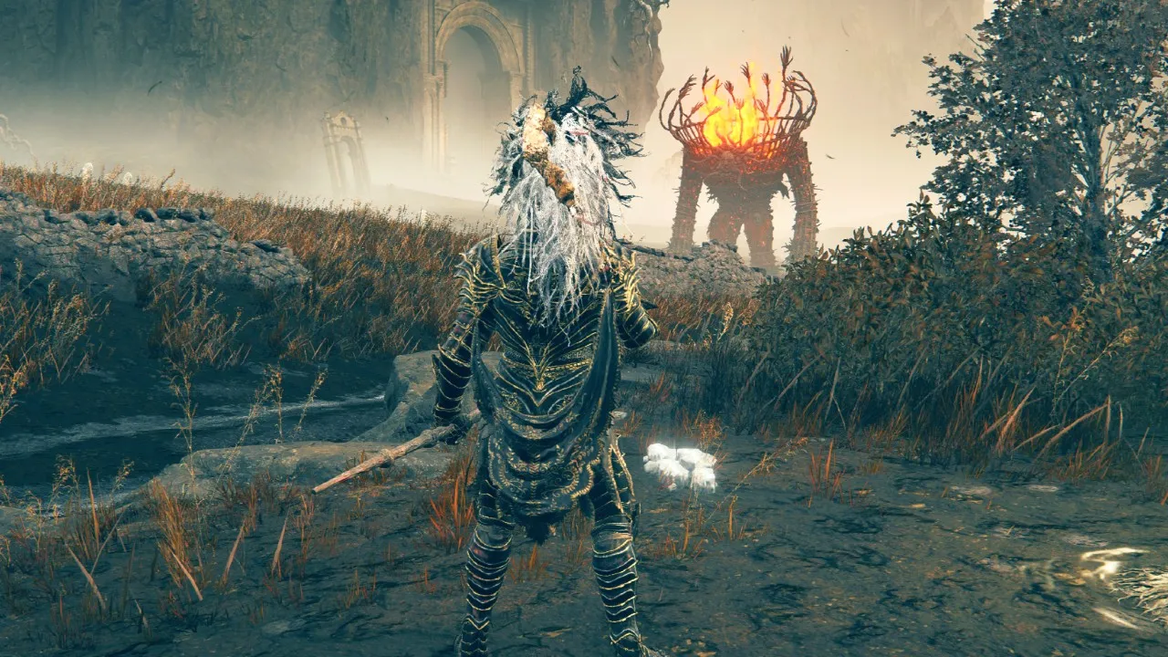 Elden Ring : Tous les nouveaux emplacements SotE Crystal Tear pour Wondrous Physick